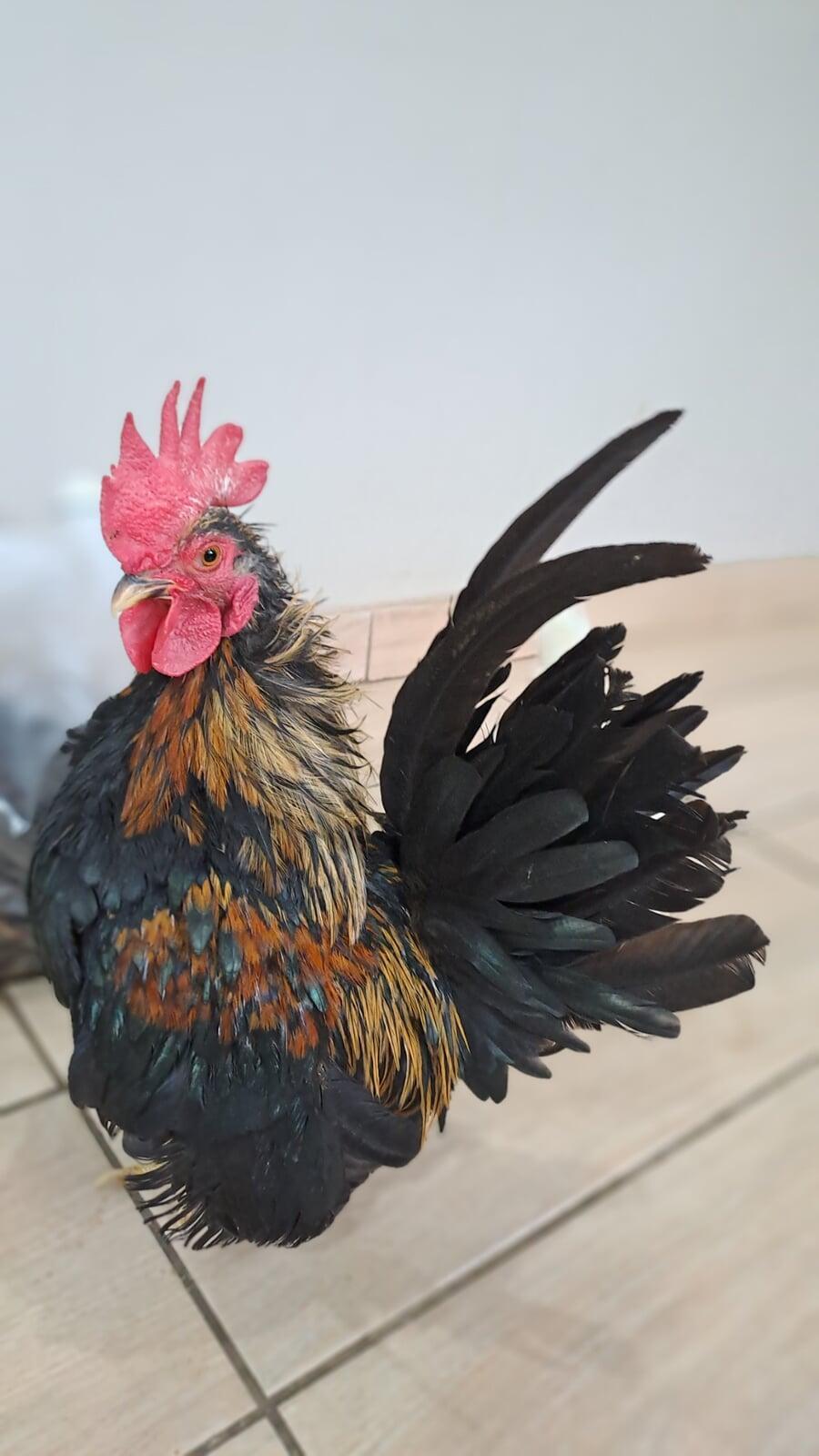 Strike a Pose